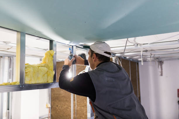Best Types of Insulation in Mount Vista, WA