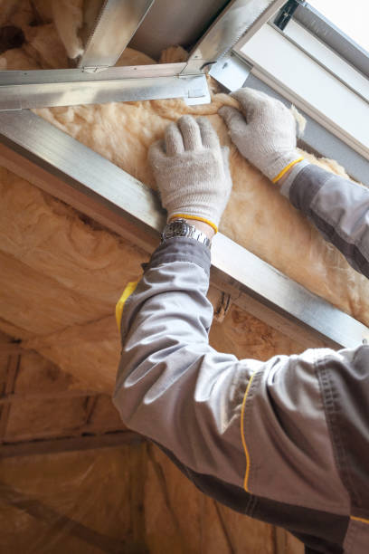 Best Insulation Maintenance and Repair in Mount Vista, WA