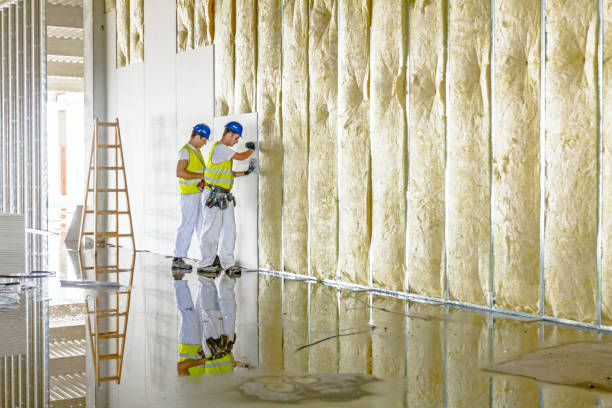 Best Commercial Insulation in Mount Vista, WA